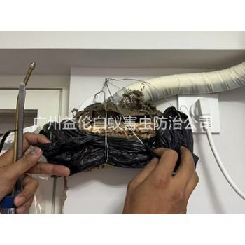 天河房屋白蚁诱杀工程